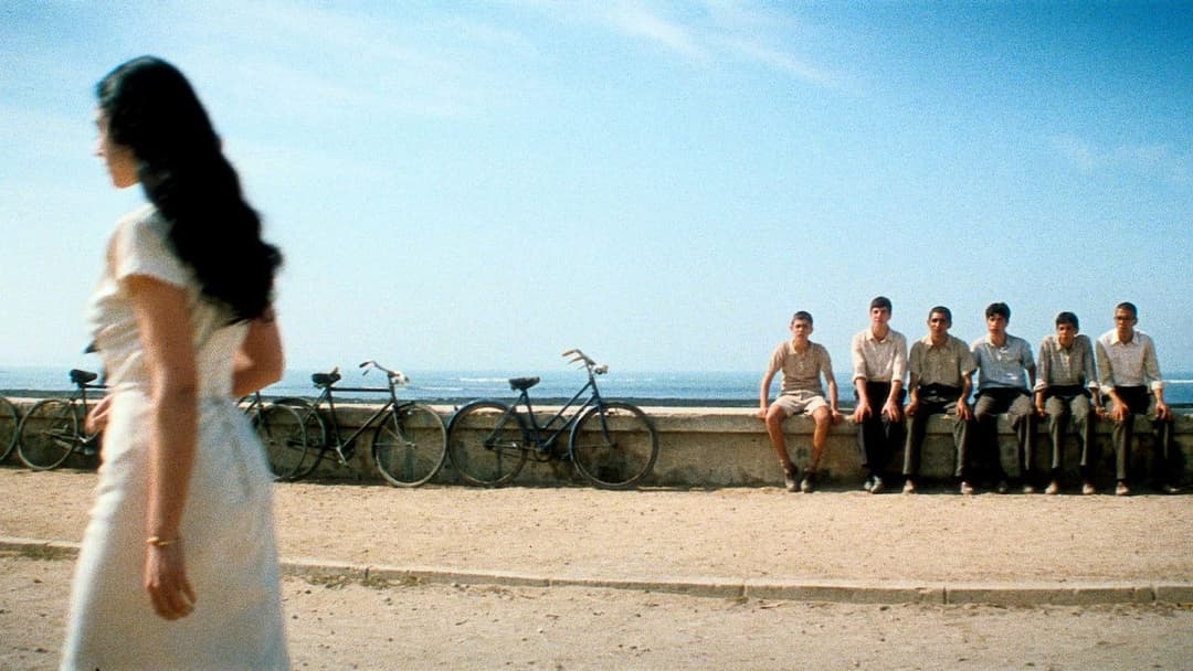 Der Zauber von Malèna backdrop 9