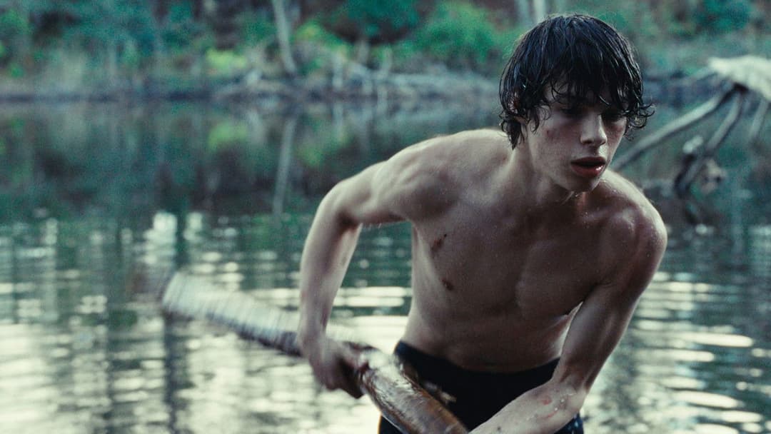 Королівство тварин backdrop 4