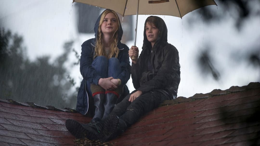 Ми купили зоопарк backdrop 17