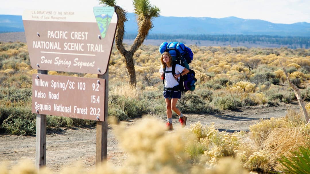 Дика backdrop 10