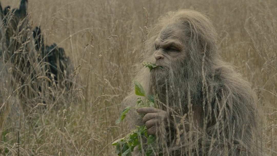 Sasquatch Sunset backdrop 16