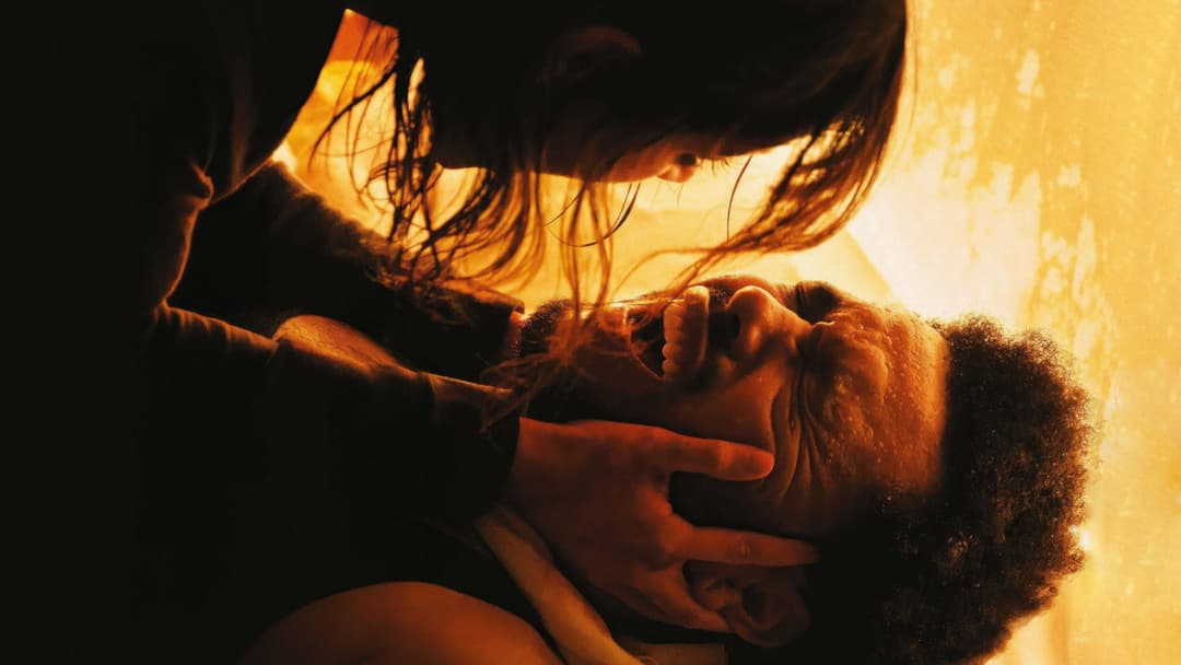 Hurry Up Tomorrow backdrop 3