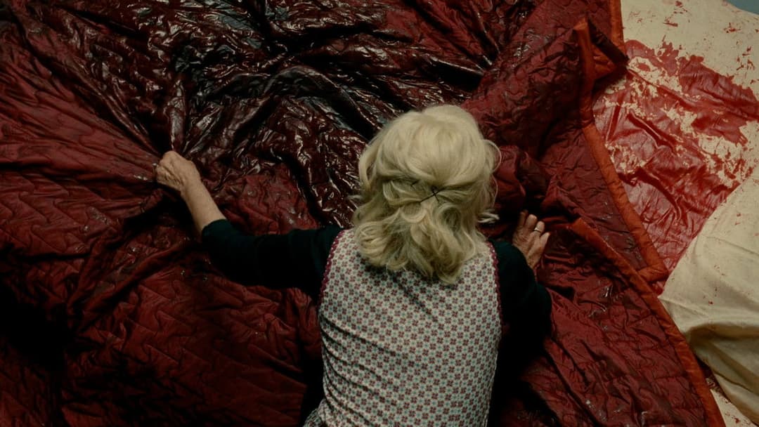 Die Haut, in der ich wohne backdrop 11