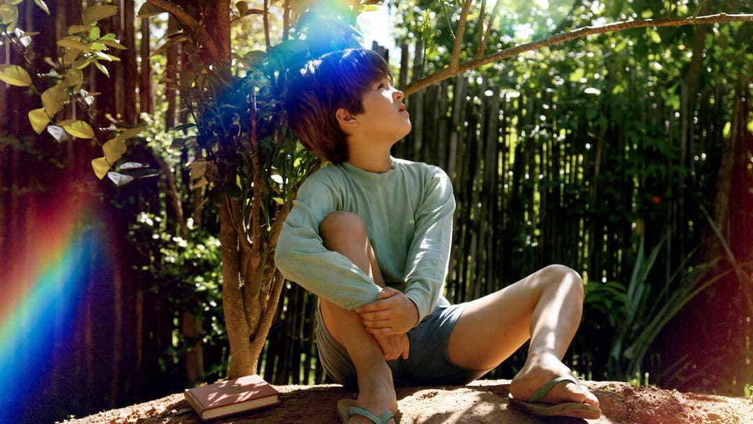 Mein kleiner Orangenbaum backdrop 8