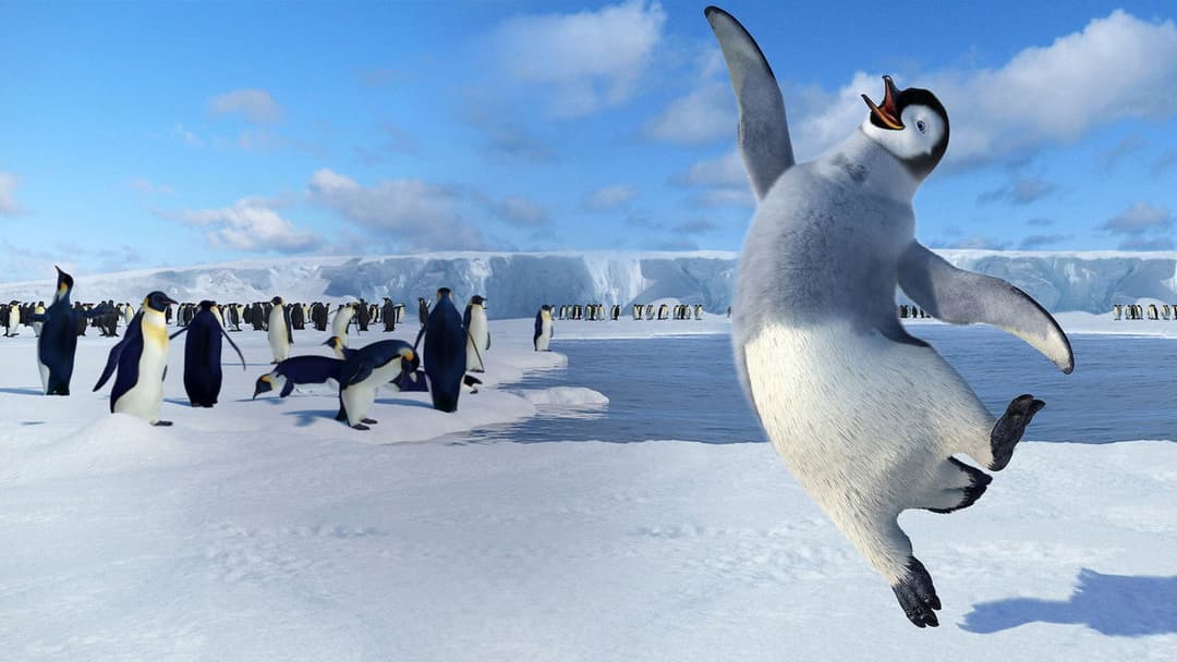 Веселі ніжки backdrop 16