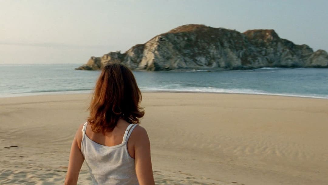 Y Tu Mama Tambien - Lust for Life backdrop 20