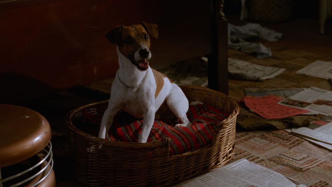 Маска backdrop 18