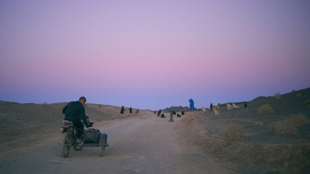 Black Dog - Weggefährten backdrop 16