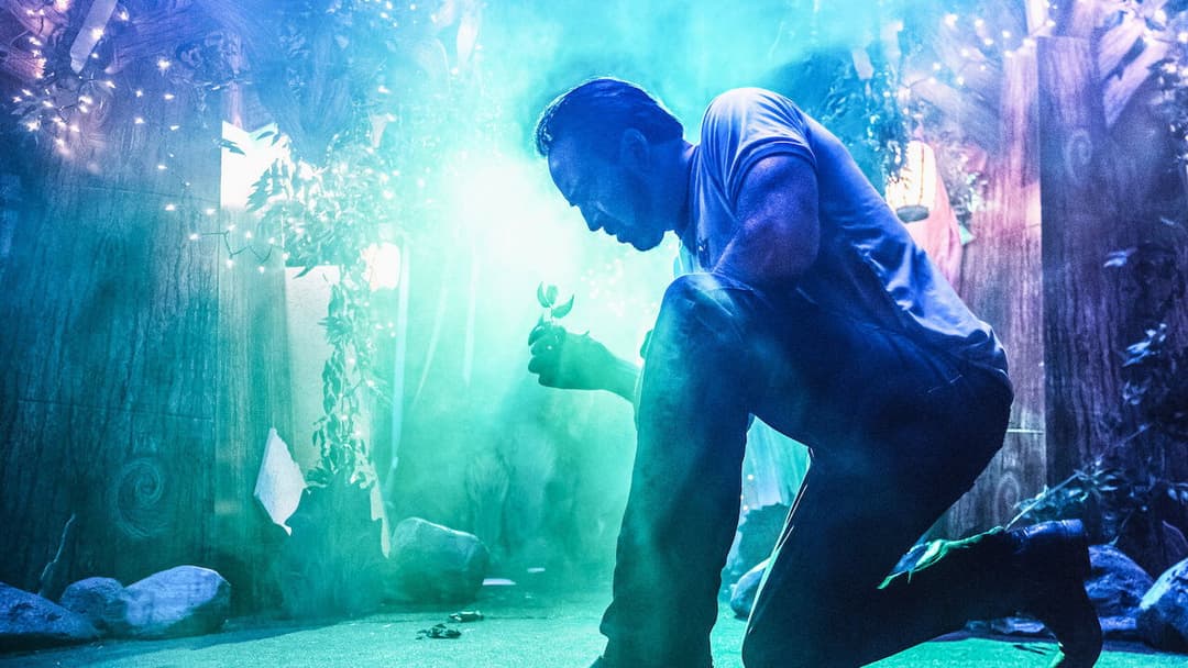 Країна чудес Віллі backdrop 11