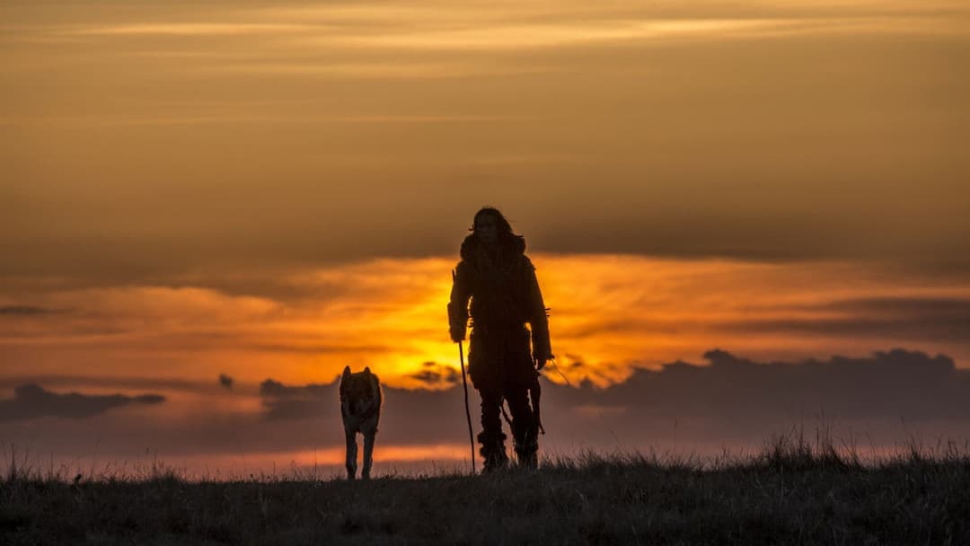 Альфа backdrop 11