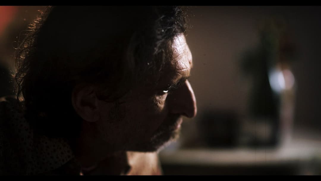 Widerhall backdrop 7