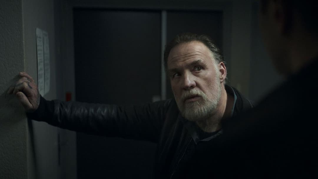 Ніч на 12-те backdrop 8