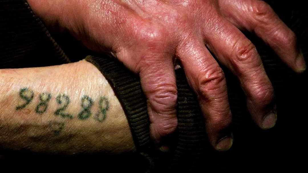 Night Will Fall backdrop 2