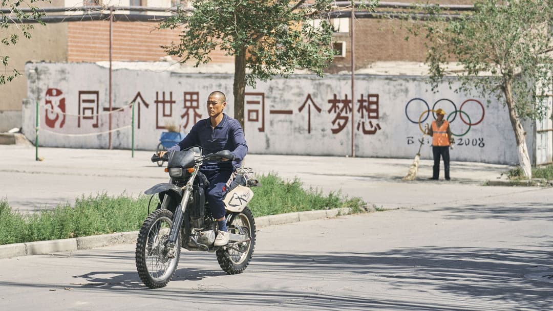 Black Dog - Weggefährten backdrop 15