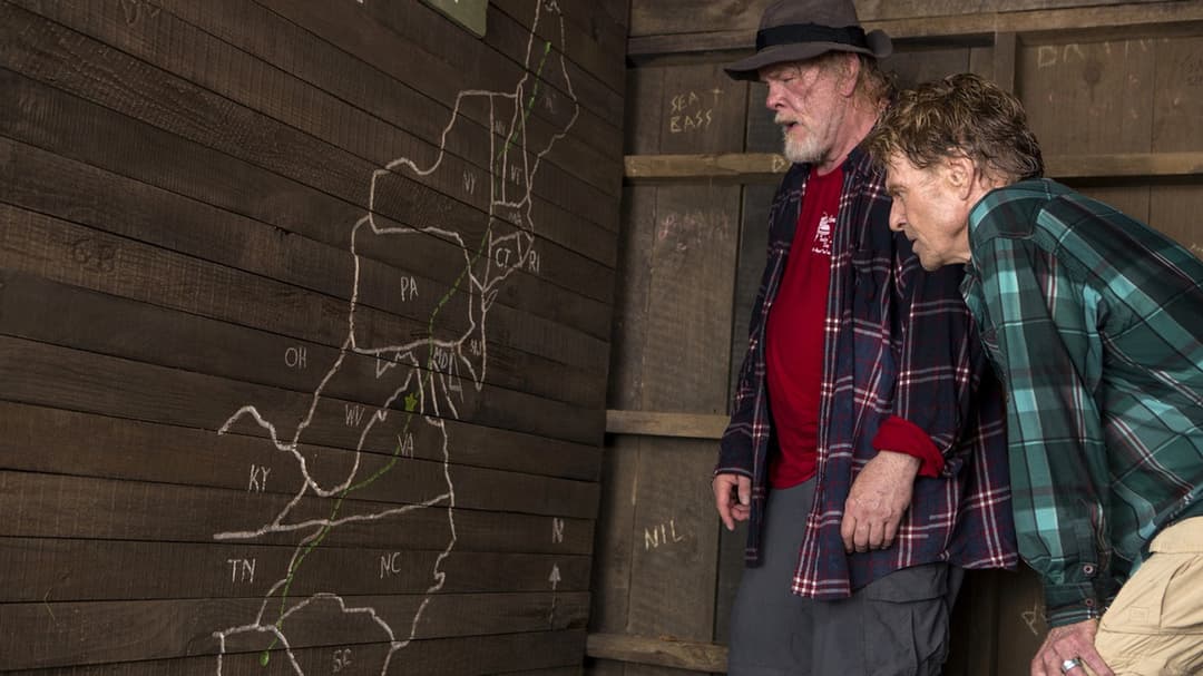 Picknick mit Bären backdrop 17