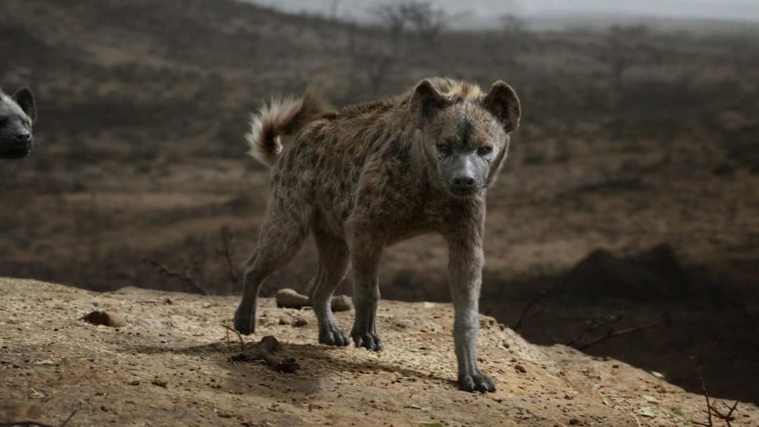 Король Лев backdrop 16
