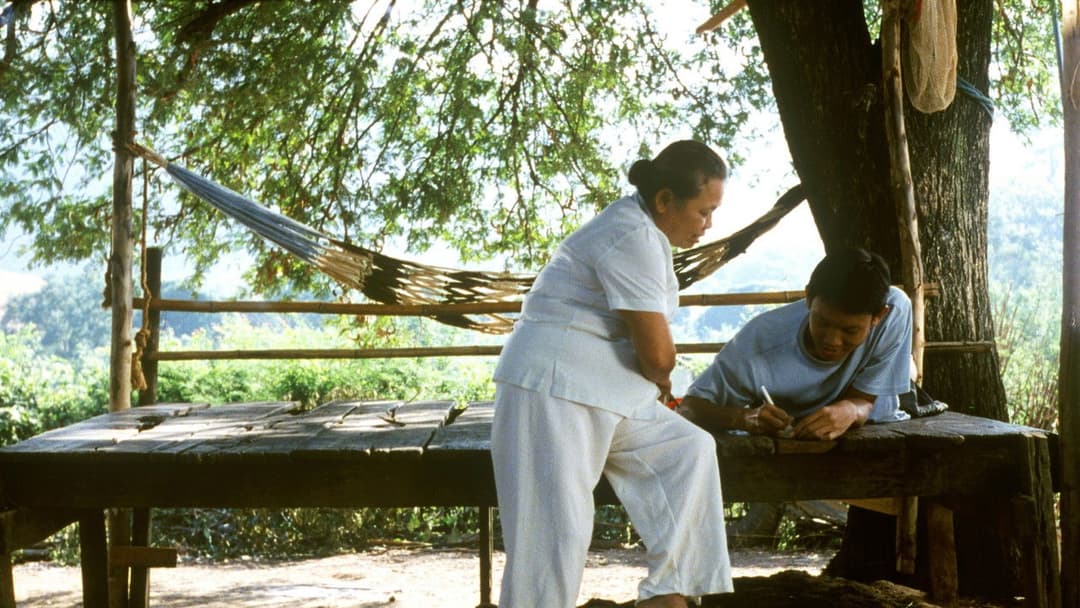 Tropical Malady backdrop 10