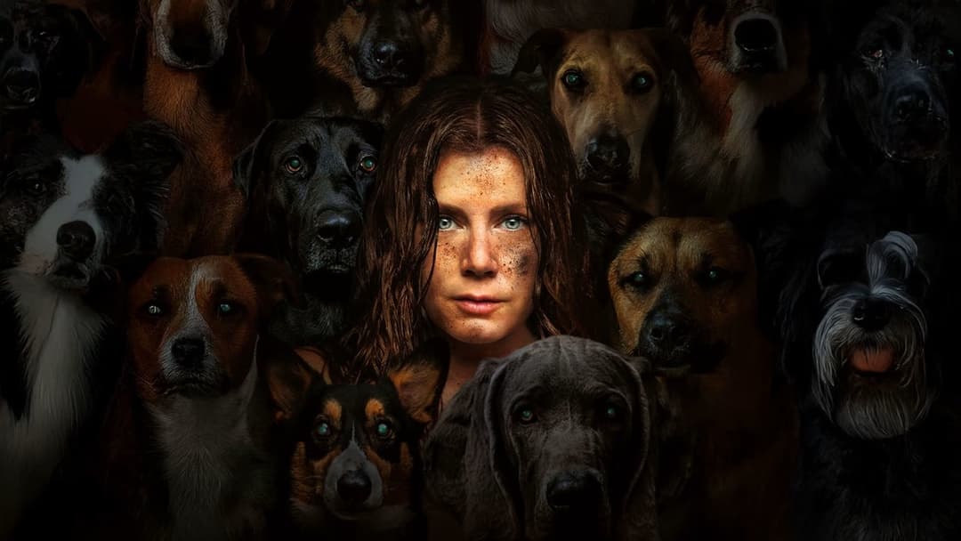 Нічна сучка backdrop 10