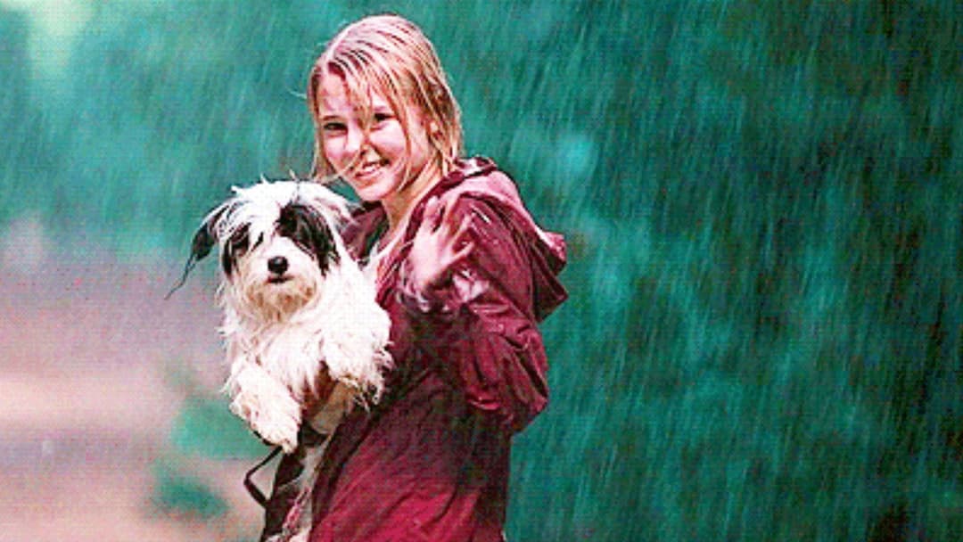 Brücke nach Terabithia backdrop 6