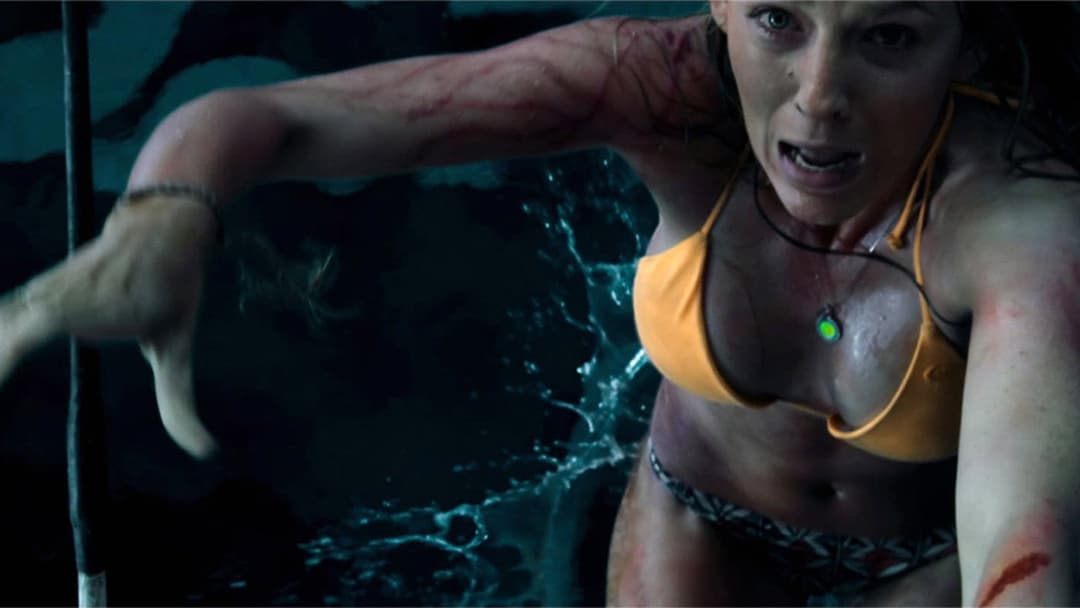 The Shallows backdrop 17