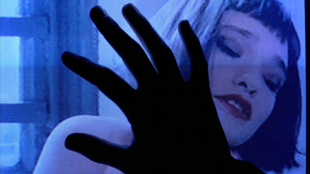 Аматор backdrop 8