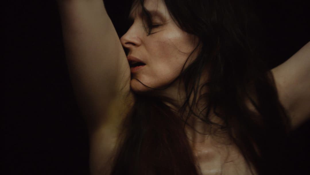 High Life backdrop 18