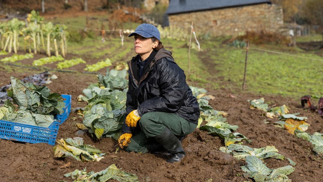 As bestas backdrop 9