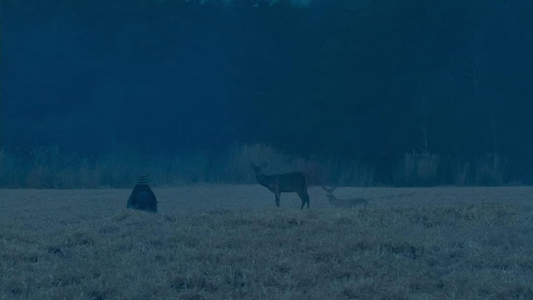 Evil Does Not Exist backdrop 9