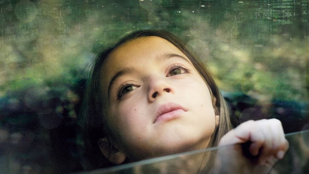 20.000 Arten von Bienen backdrop 6