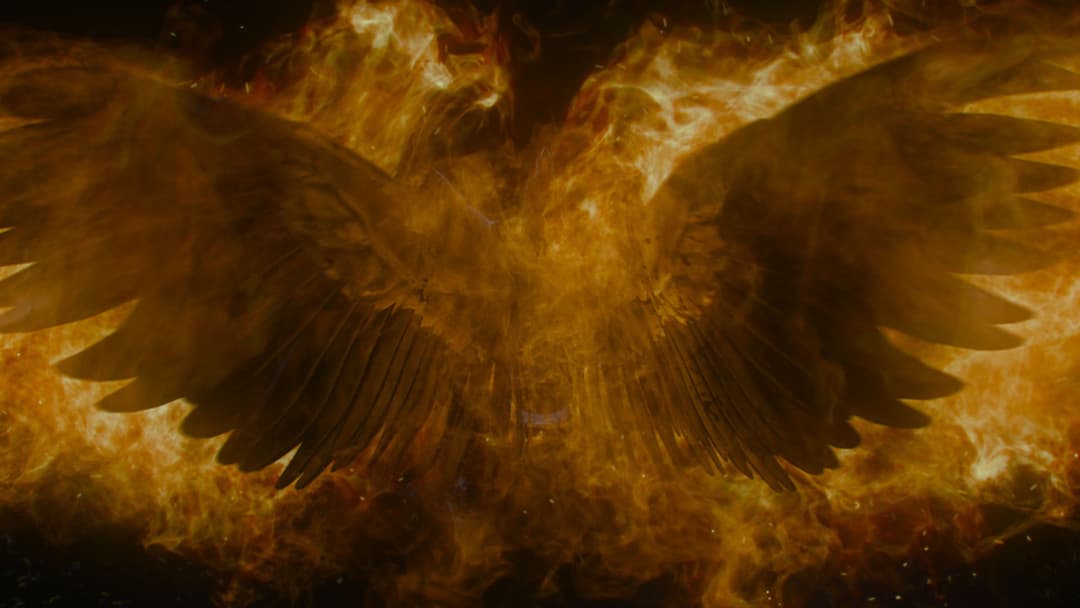 The Girl with the Dragon Tattoo backdrop 15