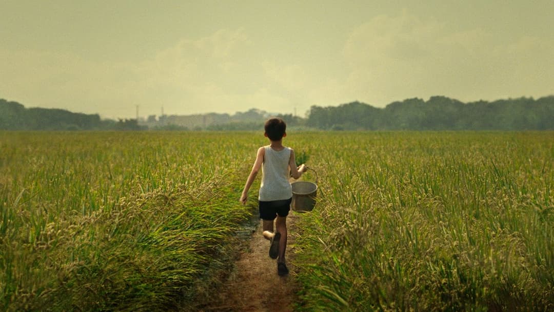 Tigertail backdrop 1