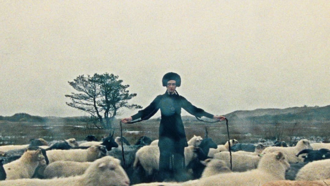 Last night I stayed within myself and this morning I decided to live here