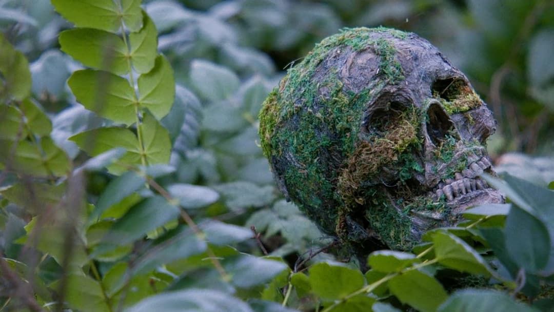 Die Alone backdrop 3