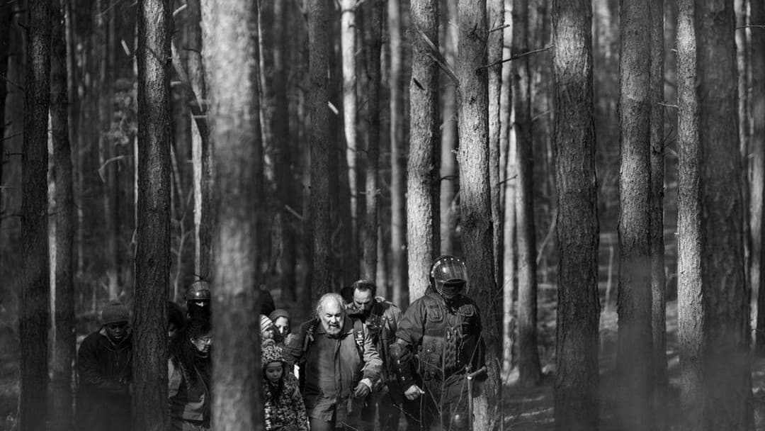 Green Border backdrop 8