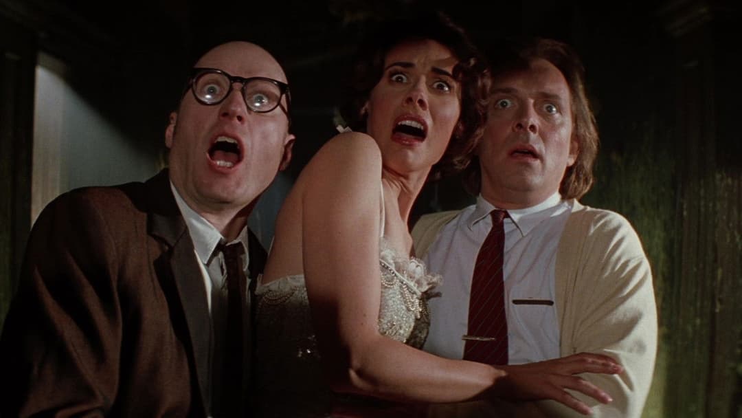 Guest House Paradiso backdrop 2