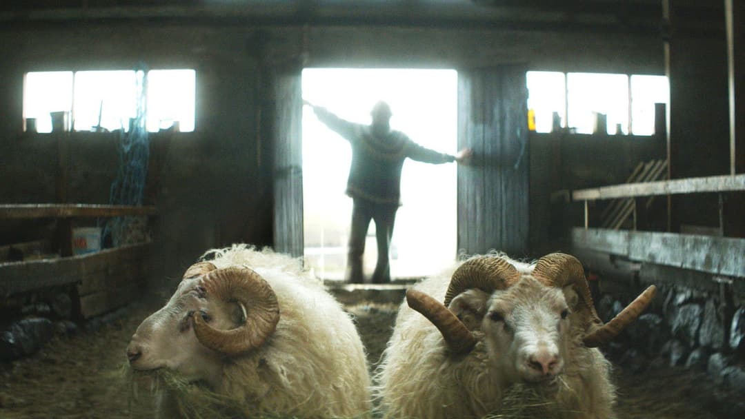 Sture Böcke backdrop 3