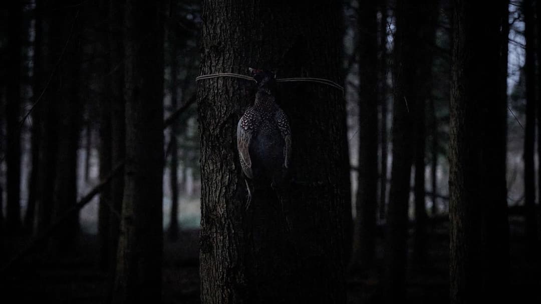 Bambi: The Reckoning backdrop 15