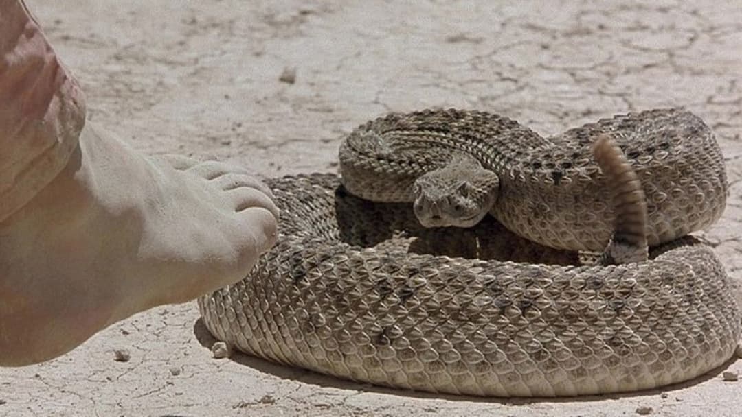 Das Geheimnis von Green Lake backdrop 19