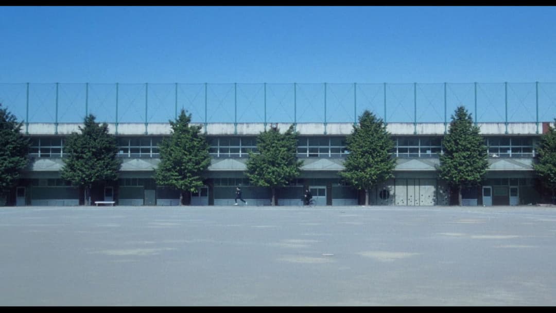 Хлопці повертаються backdrop 8