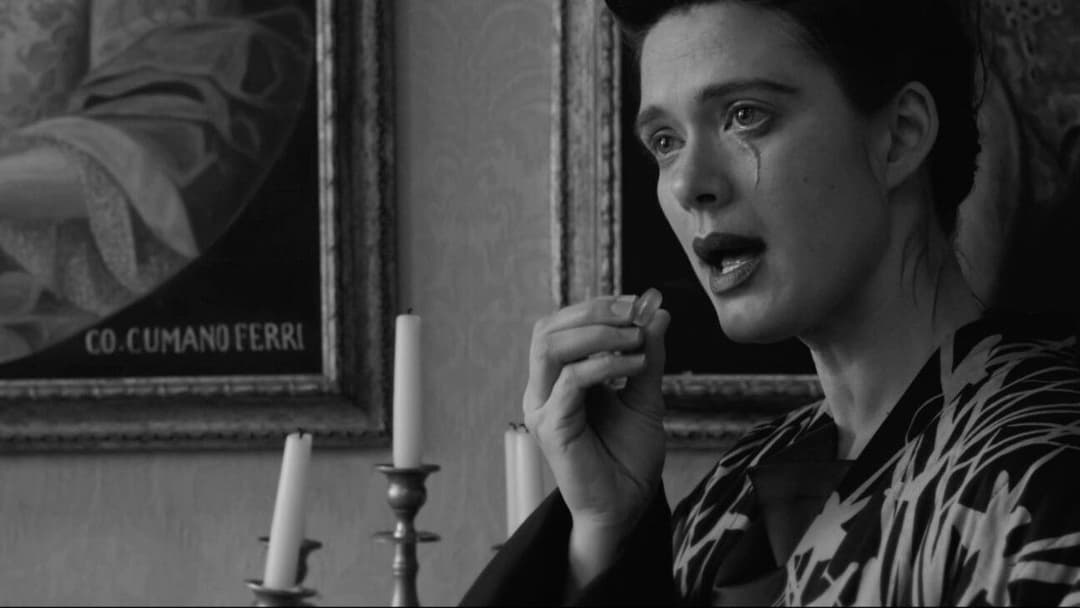 Accept Our Sincere Apologies backdrop 3