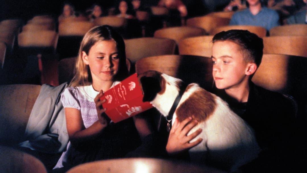 Mein Hund Skip backdrop 5