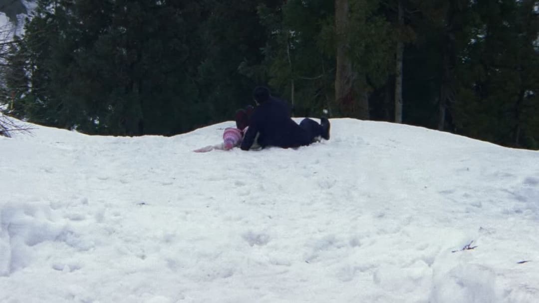 Hana-bi - Feuerblume backdrop 16