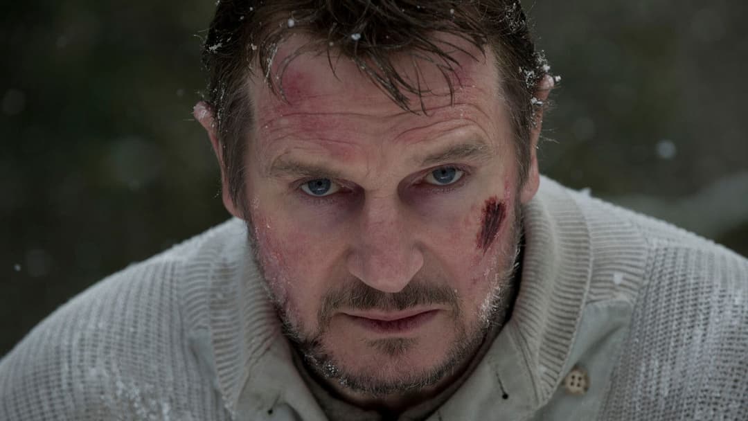 Сірий backdrop 14