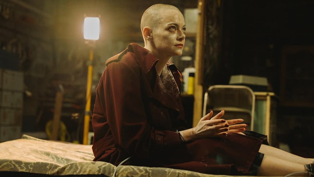 Буґонія backdrop 18