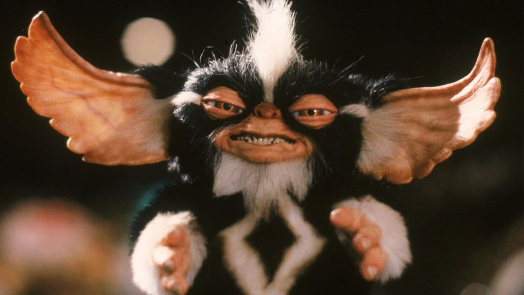 Gremlins 2 - Die Rückkehr der kleinen Monster backdrop 18