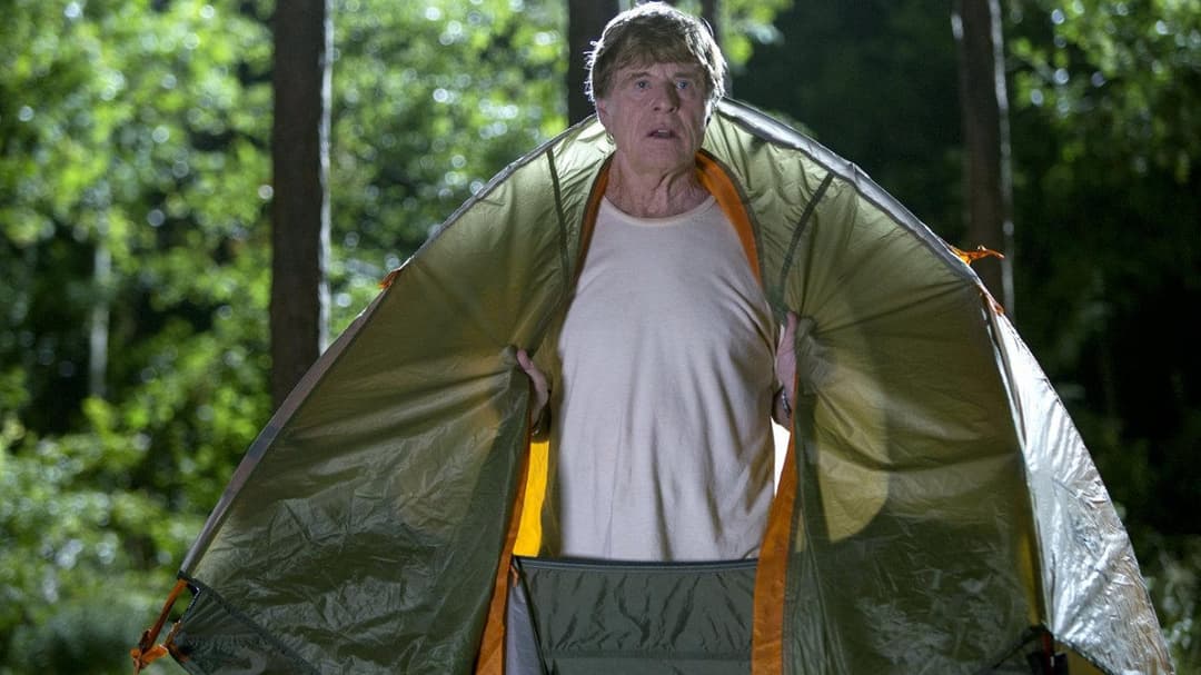Picknick mit Bären backdrop 11