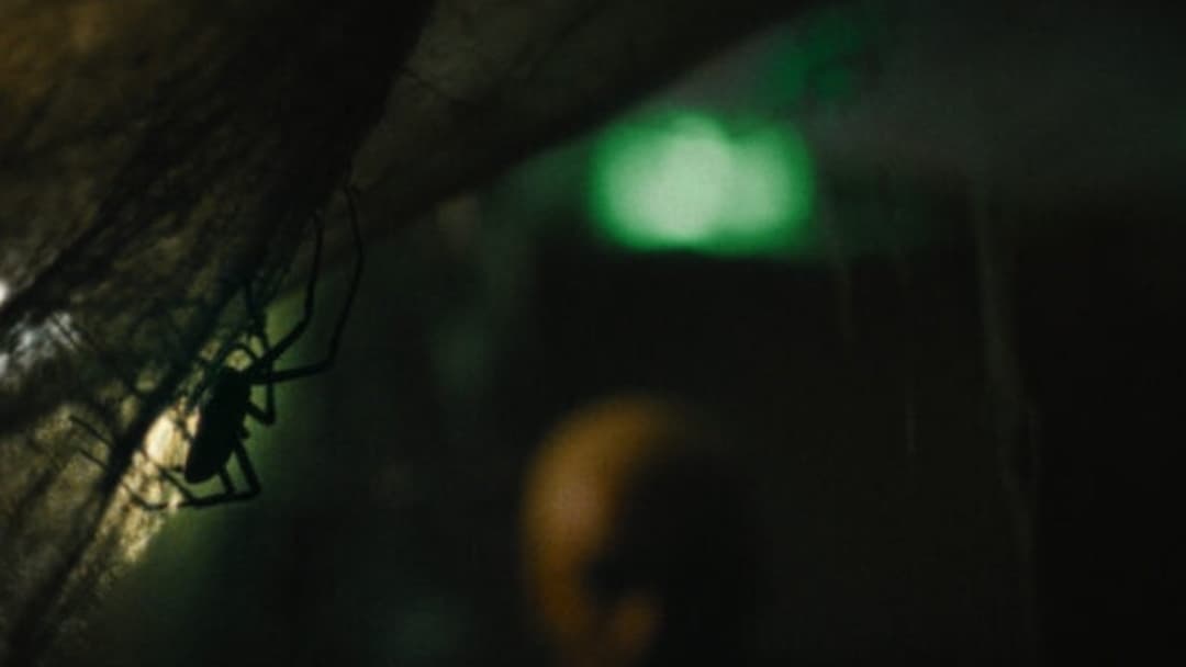 Spiders - Ihr Biss ist der Tod backdrop 9