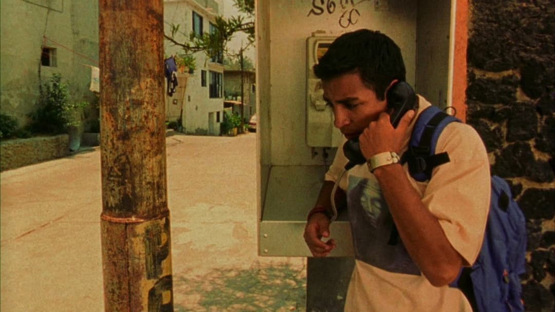 Amar te duele backdrop 8