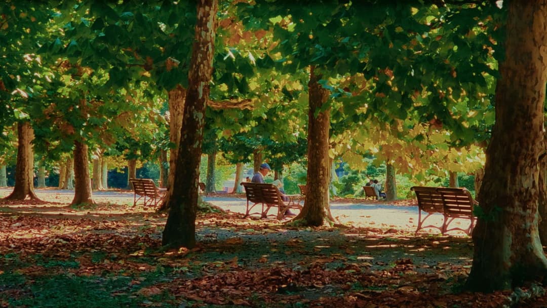 Distant Memories backdrop 11