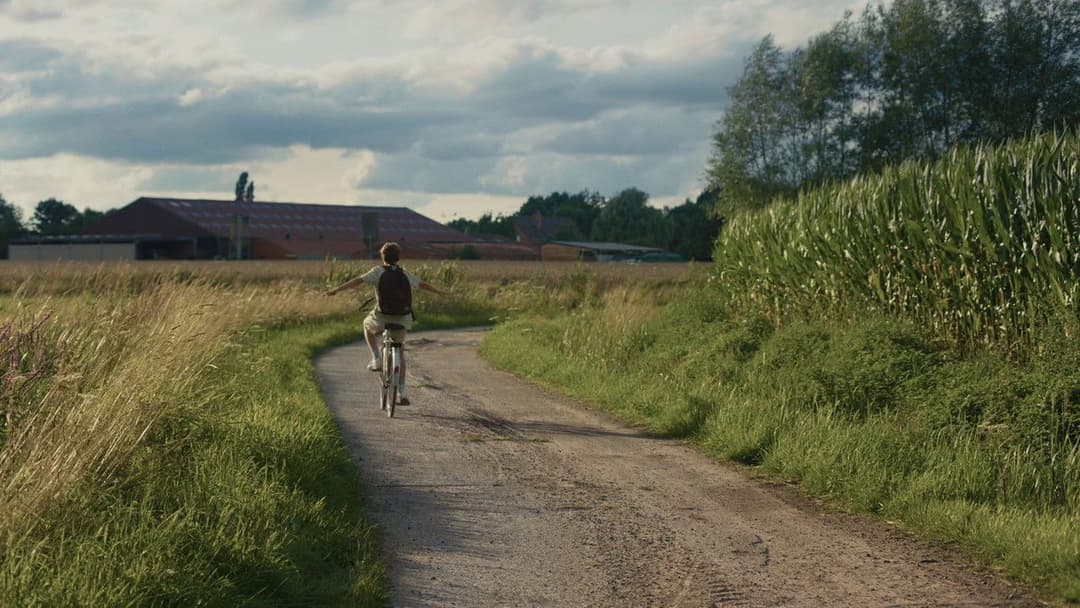 Young Hearts backdrop 15